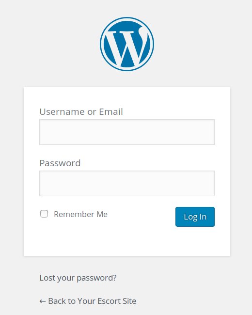 An example of the real login page